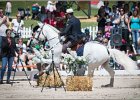 Pferd International 125